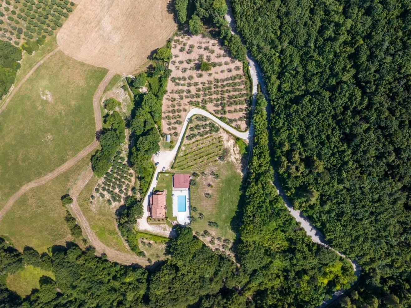 SantʼUrbano Agriturismo Isola Verde מראה חיצוני תמונה