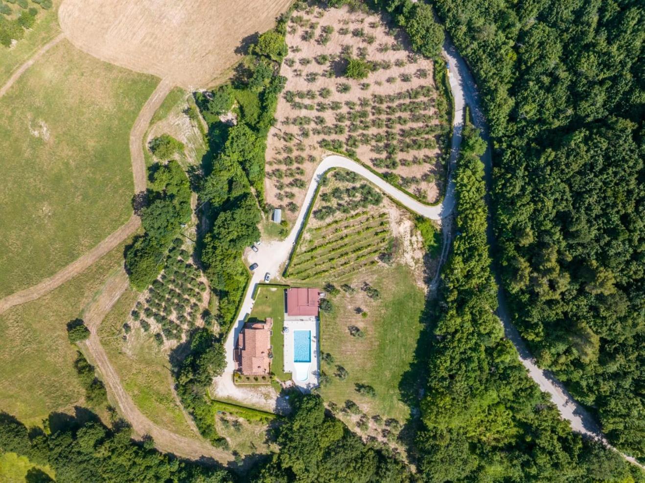 SantʼUrbano Agriturismo Isola Verde מראה חיצוני תמונה
