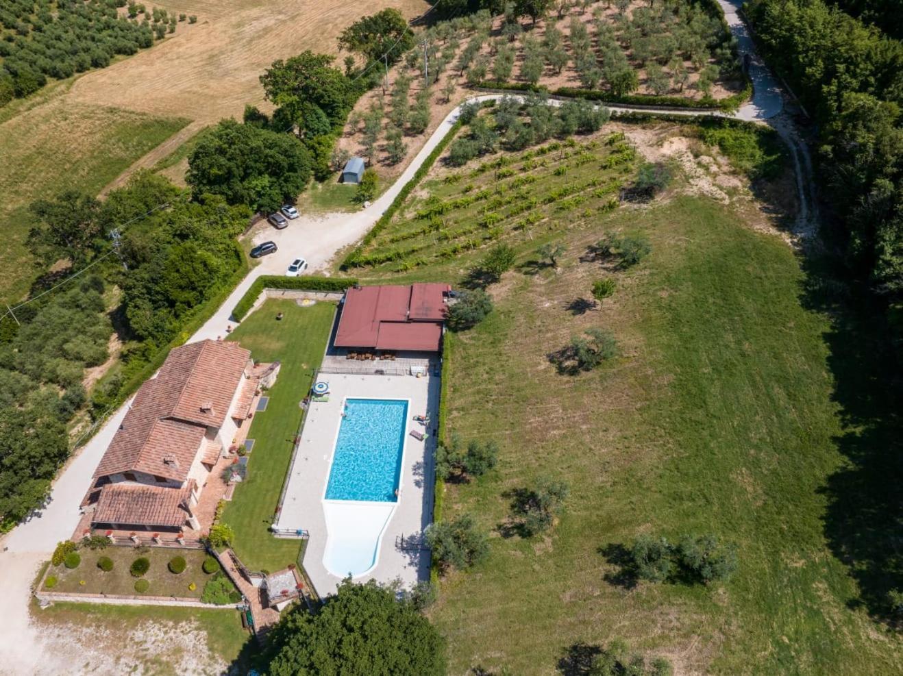 SantʼUrbano Agriturismo Isola Verde מראה חיצוני תמונה