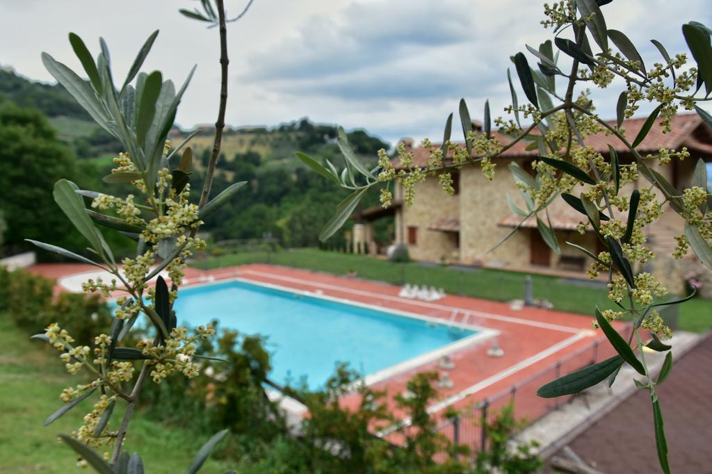 SantʼUrbano Agriturismo Isola Verde מראה חיצוני תמונה