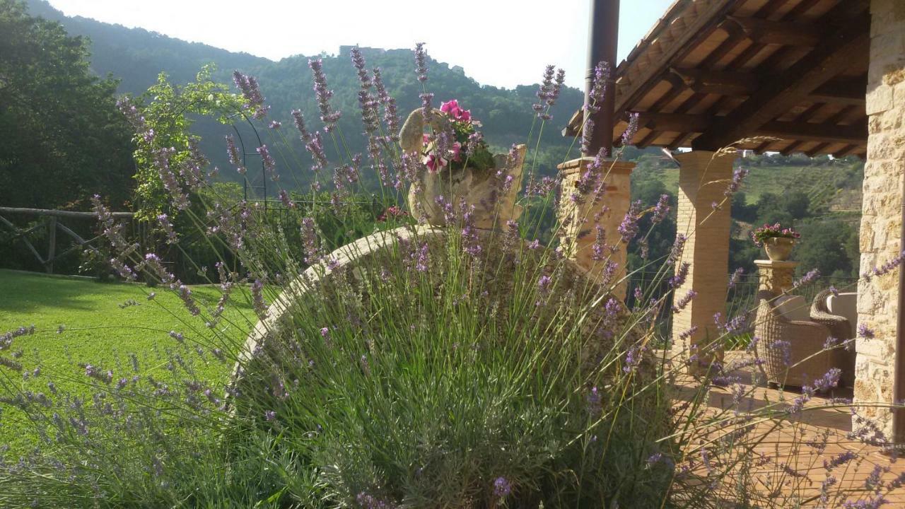 SantʼUrbano Agriturismo Isola Verde מראה חיצוני תמונה