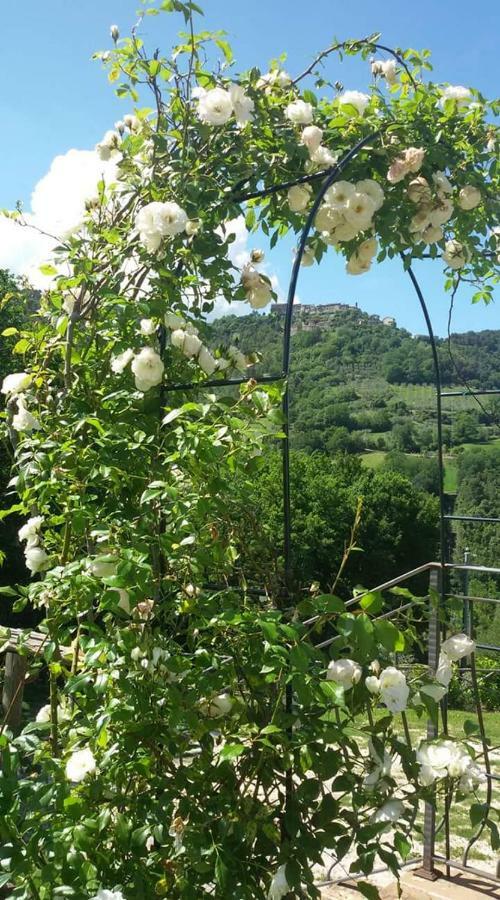 SantʼUrbano Agriturismo Isola Verde מראה חיצוני תמונה