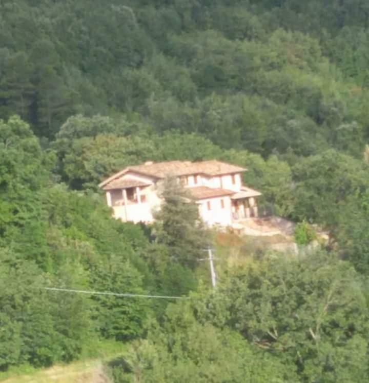 SantʼUrbano Agriturismo Isola Verde מראה חיצוני תמונה