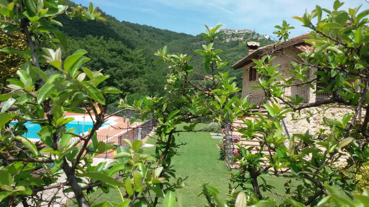 SantʼUrbano Agriturismo Isola Verde מראה חיצוני תמונה