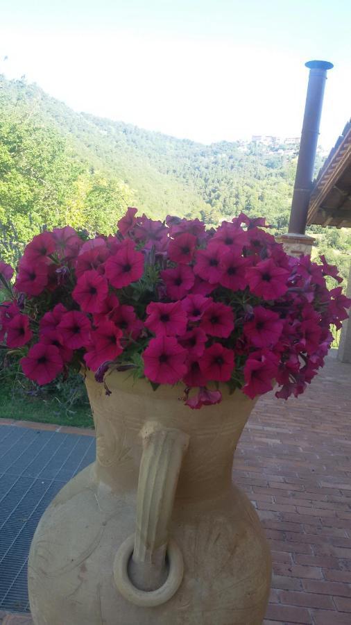 SantʼUrbano Agriturismo Isola Verde מראה חיצוני תמונה