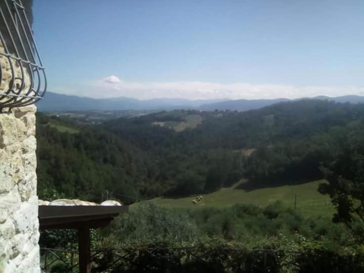 SantʼUrbano Agriturismo Isola Verde מראה חיצוני תמונה